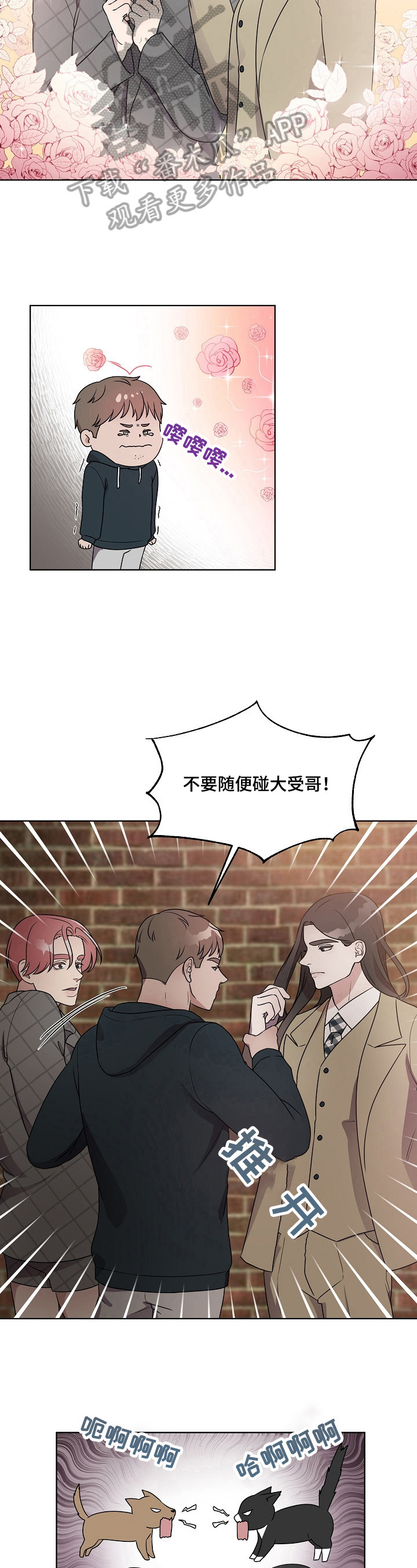 《代替他的明星》第17章争锋相对 第4页