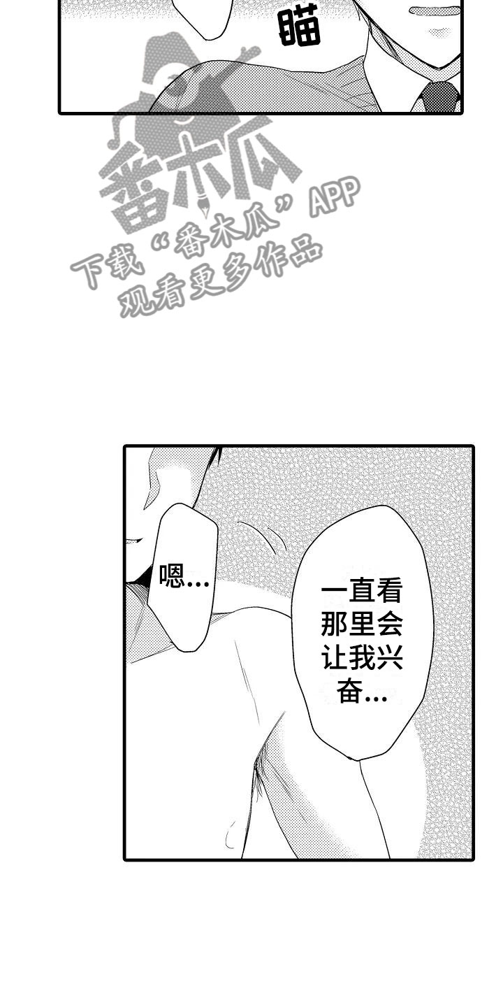 《荆棘之恋》第28章奇怪 第2页