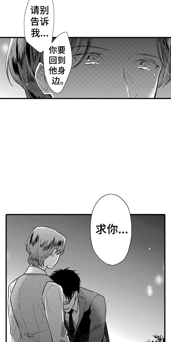 《荆棘之恋》第24章表白 第12页