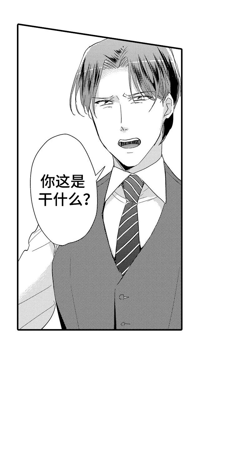 《荆棘之恋》第20章失落 第10页