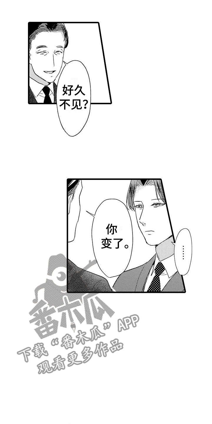 《荆棘之恋》第18章出乎意料 第13页