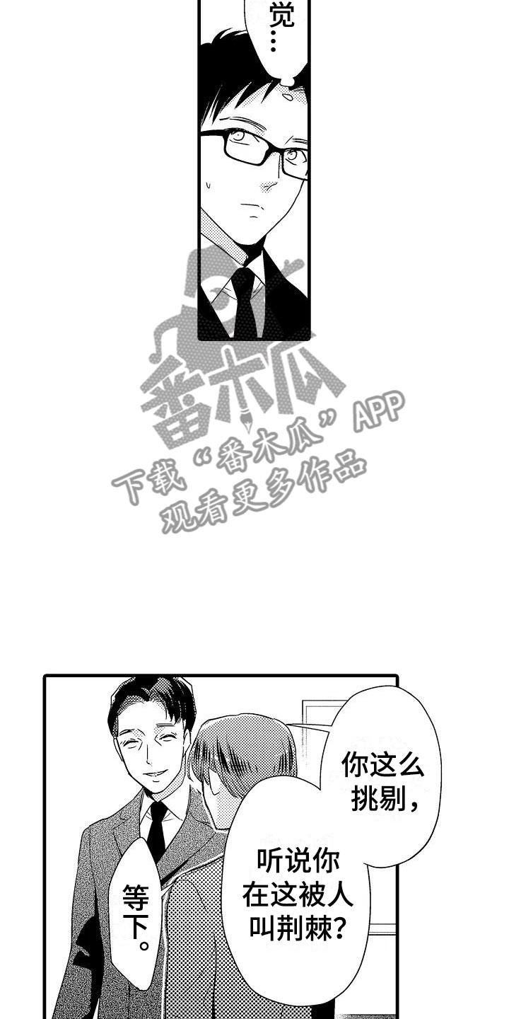 《荆棘之恋》第18章出乎意料 第17页