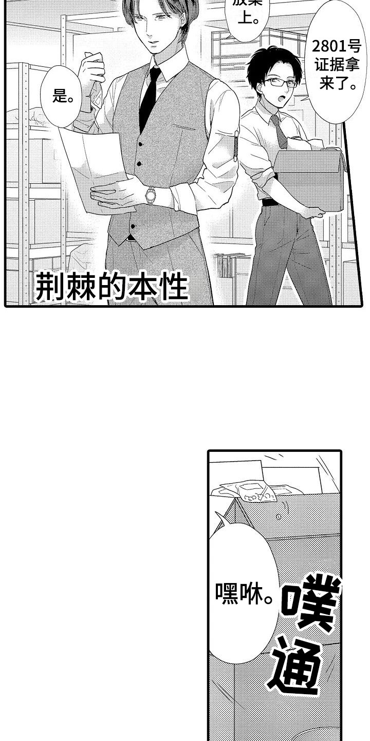《荆棘之恋》第1章意外 第2页
