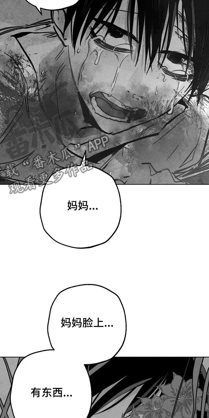 《凝视R》第105章怎么能这样对我 第29页