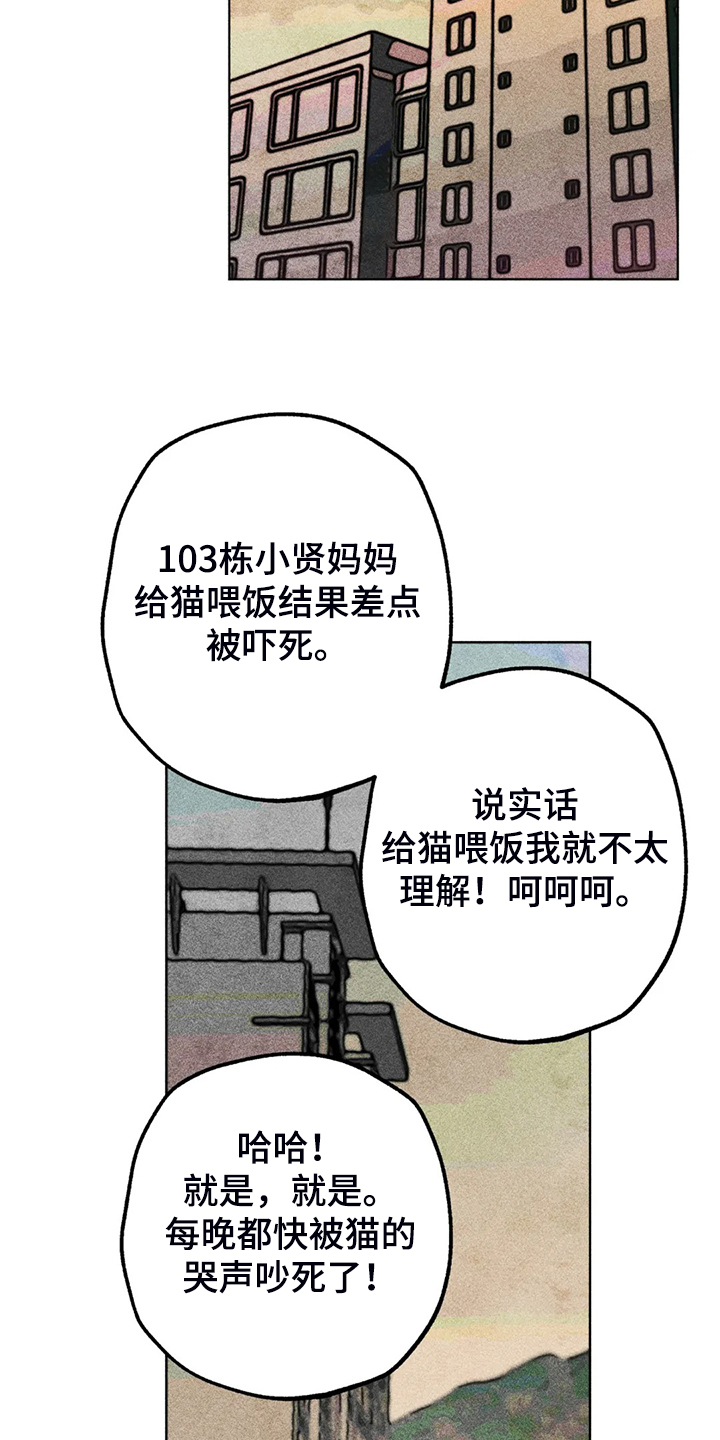 《凝视R》第93章是达云杀了猫 第10页