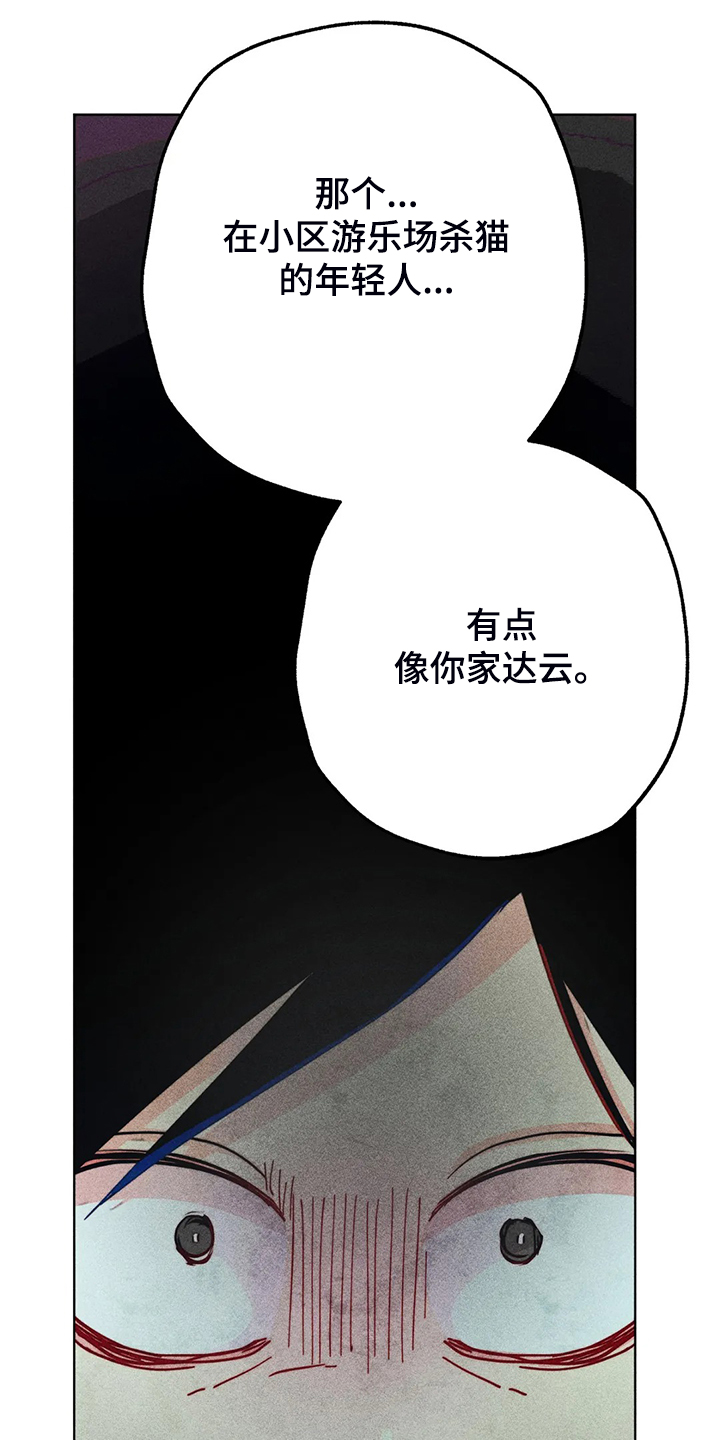 《凝视R》第93章是达云杀了猫 第19页