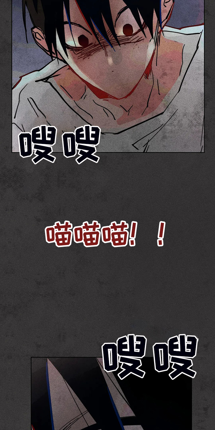 《凝视R》第93章是达云杀了猫 第2页