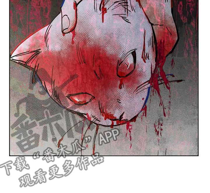 《凝视R》第46章攻击性 第8页