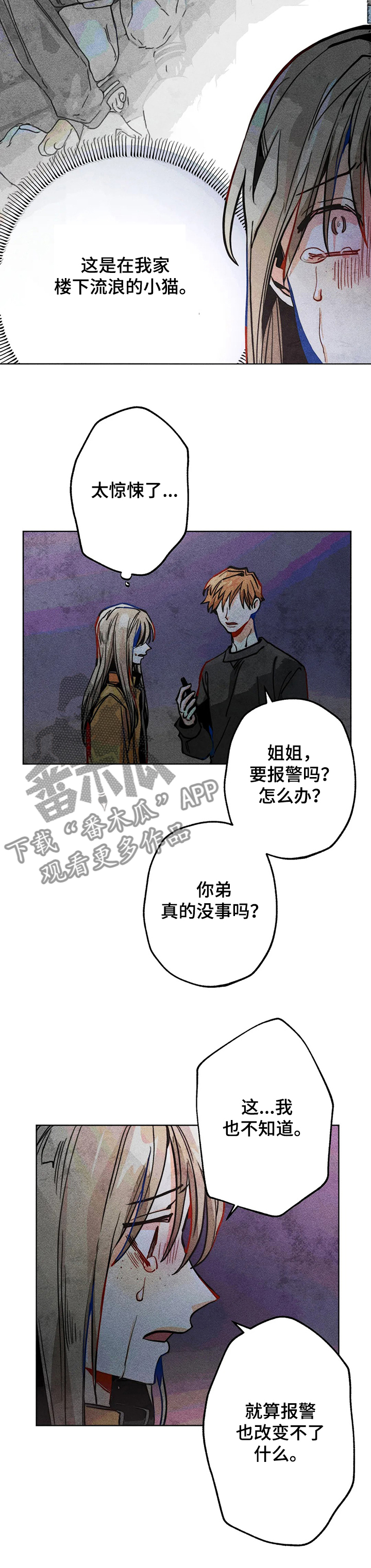 《凝视R》第47章他是我弟 第11页