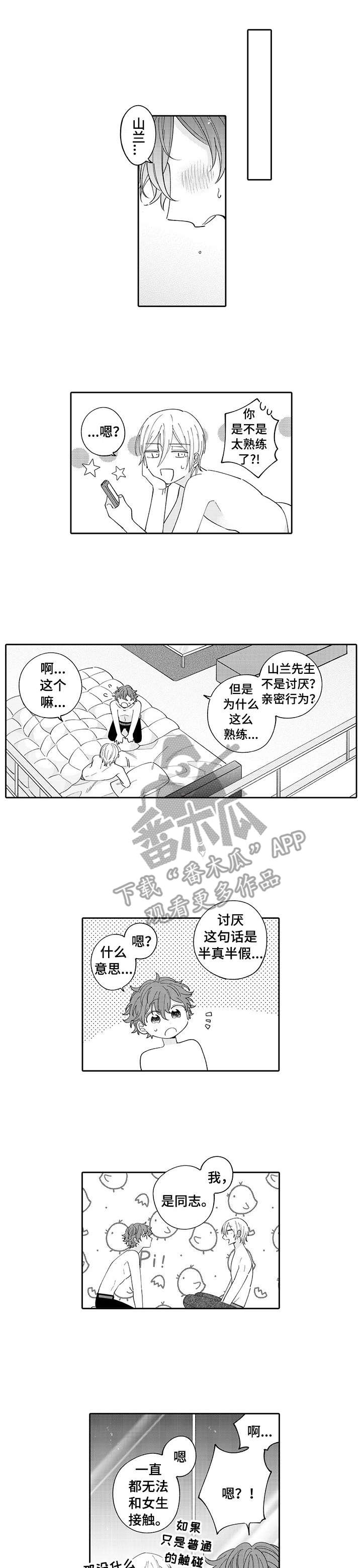 《偶像秘密》第7章综艺 第1页