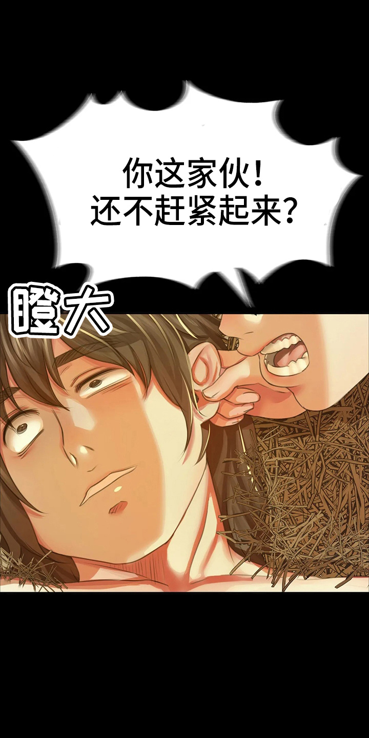 《忠仆石头》第52章对不起 第17页