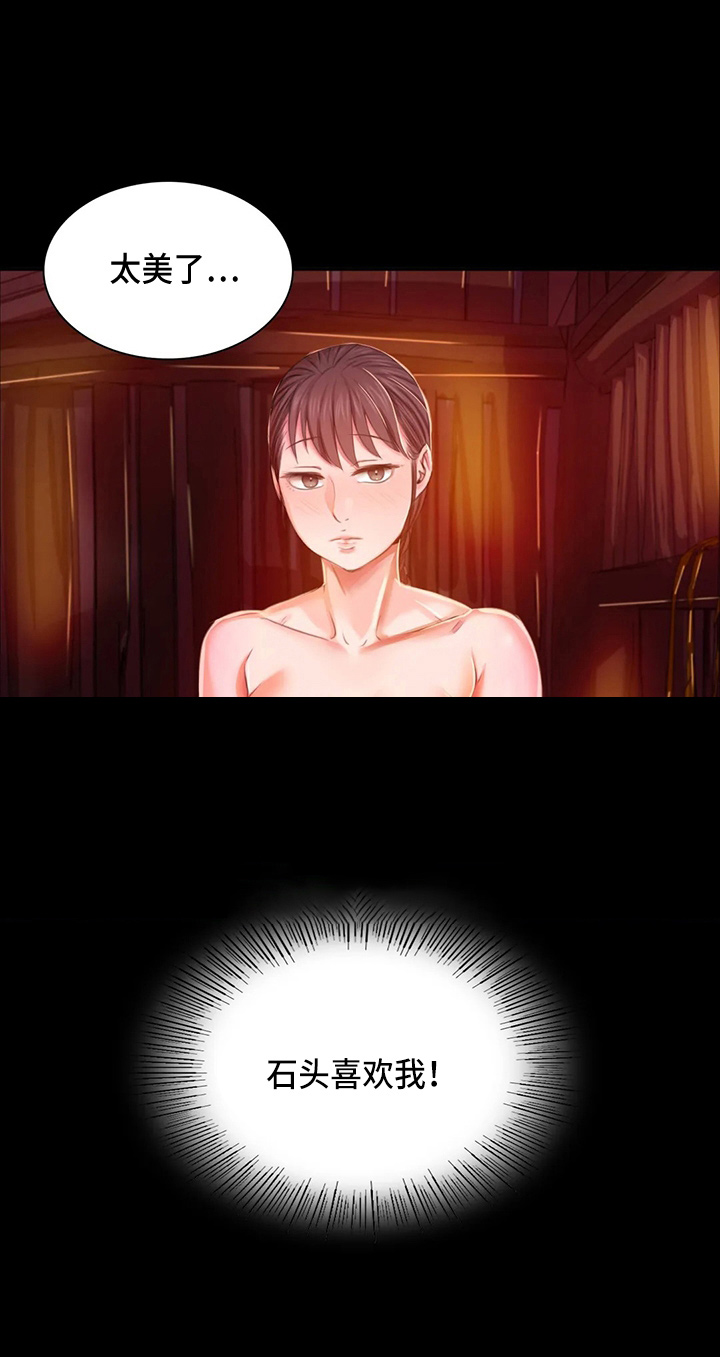 《忠仆石头》第51章他喜欢我 第12页