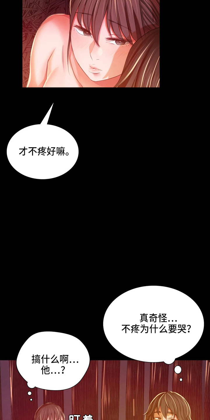 《忠仆石头》第51章他喜欢我 第18页