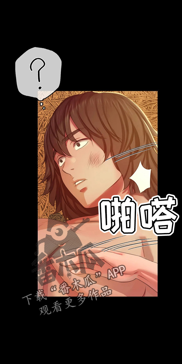 《忠仆石头》第50章查看 第20页