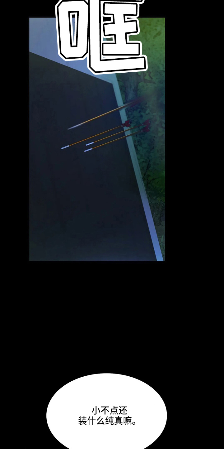 《忠仆石头》第47章撞破 第20页