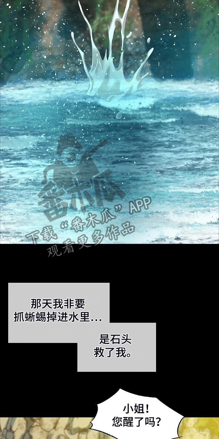 《忠仆石头》第45章救命的那一刻 第10页