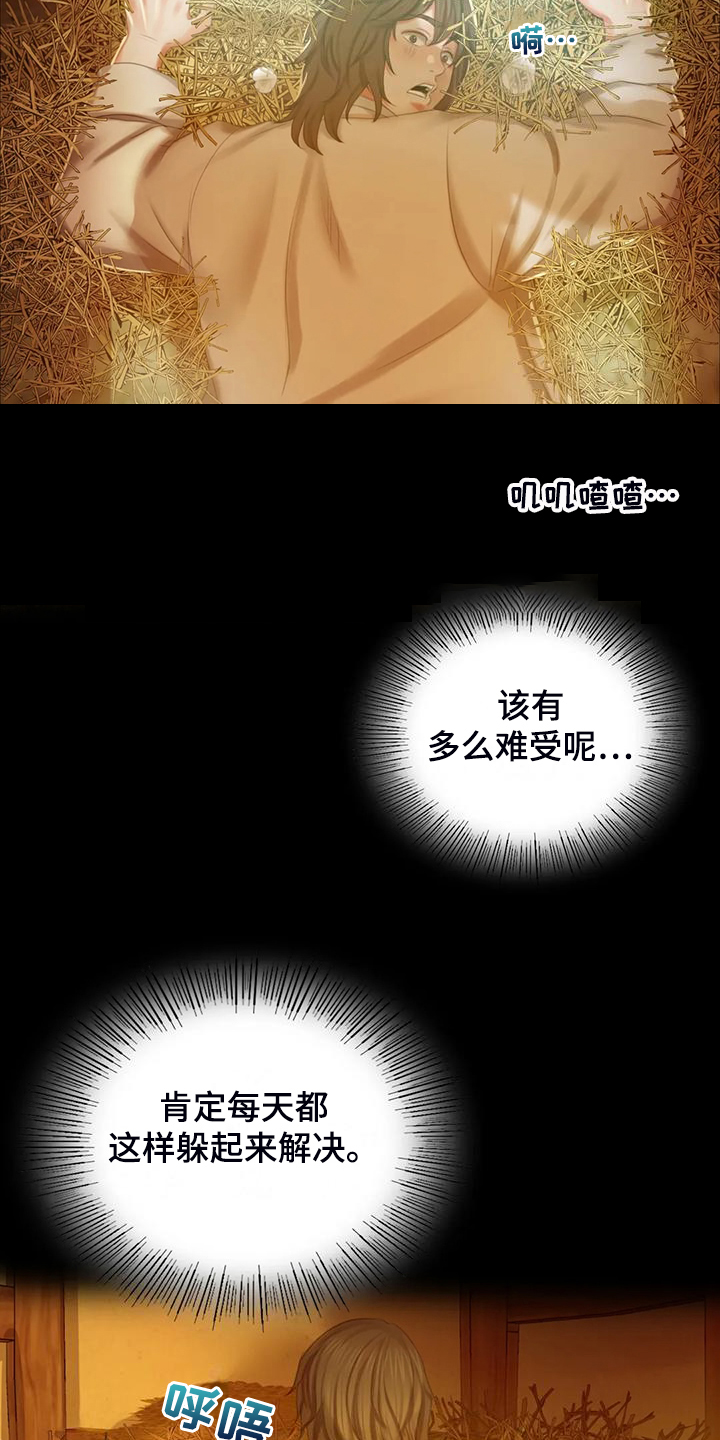 《忠仆石头》第44章为什么是小姐 第17页