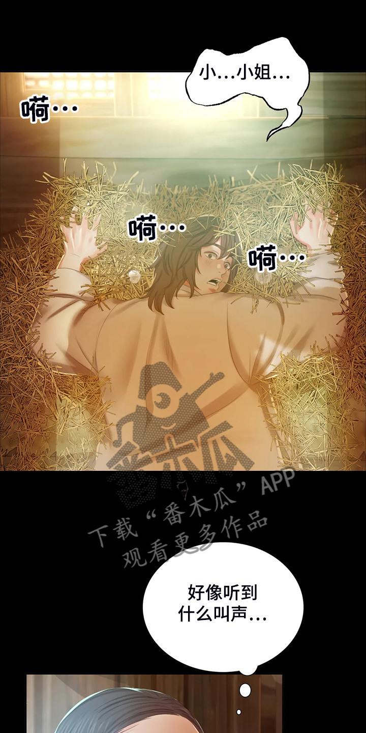 《忠仆石头》第39章闯入的小姐 第3页