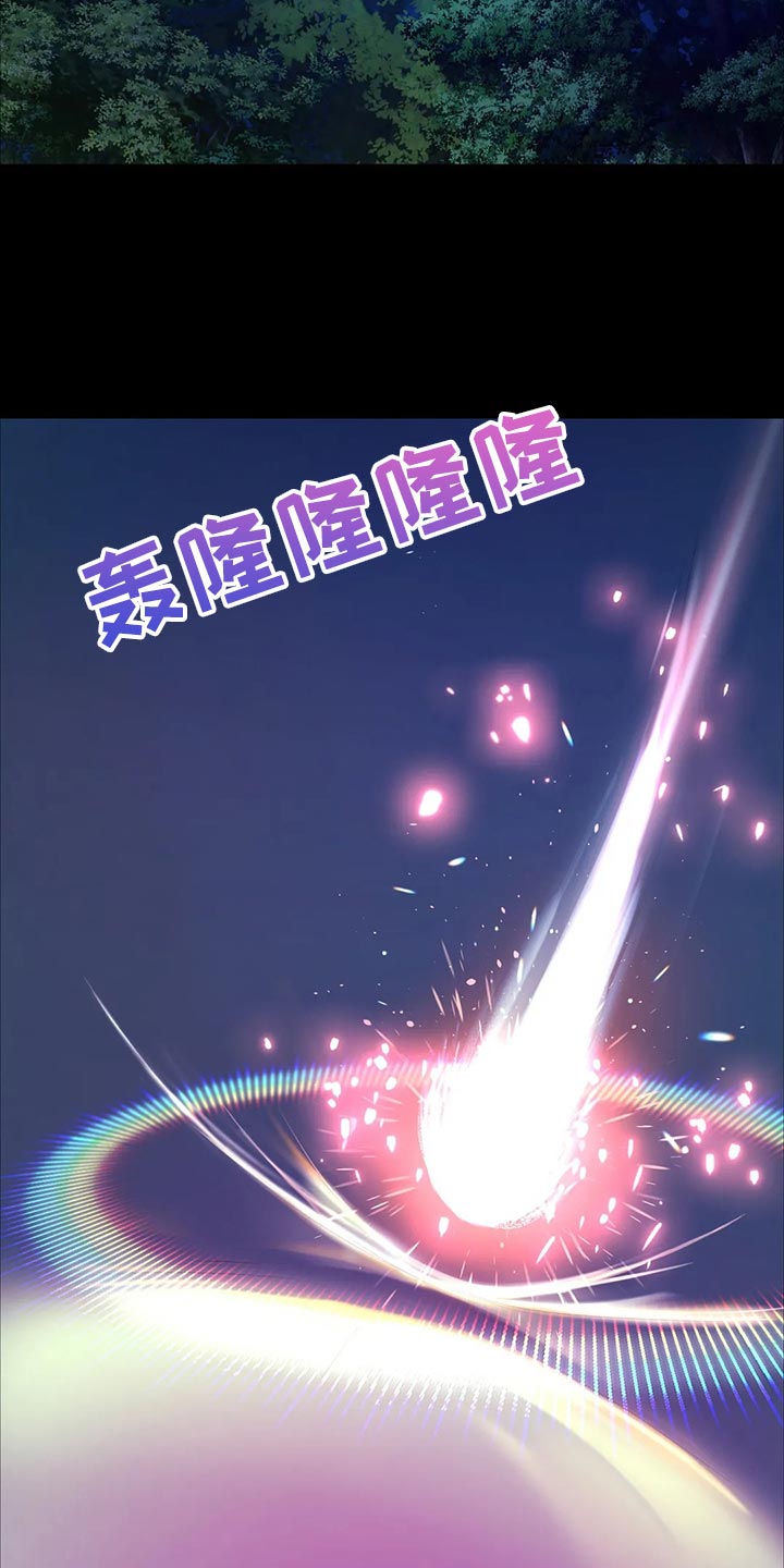 《忠仆石头》第31章寻找 第11页