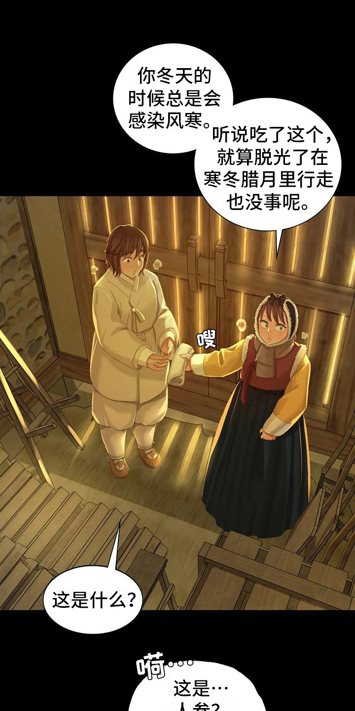 《忠仆石头》第29章迷人 第1页