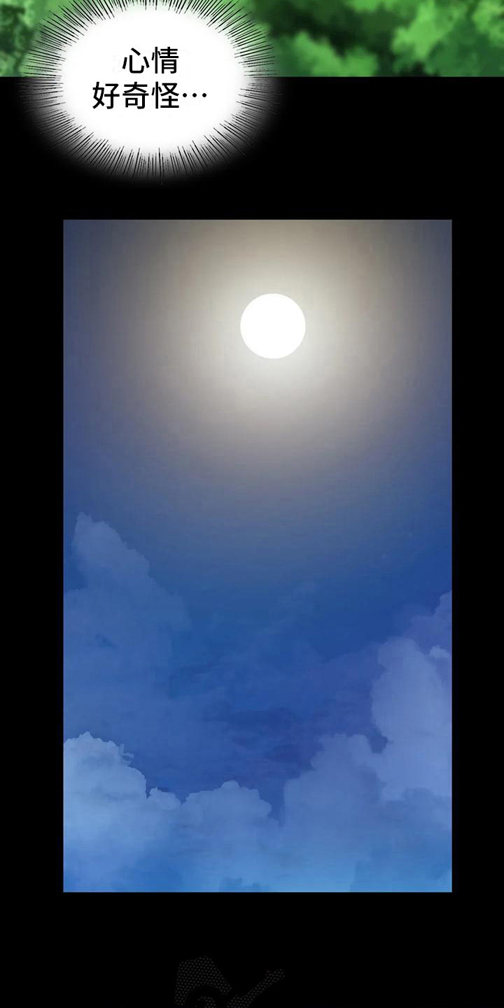 《忠仆石头》第23章心情奇怪 第12页