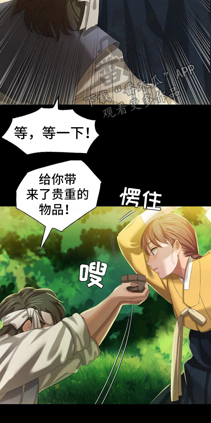 《忠仆石头》第22章胭脂 第9页
