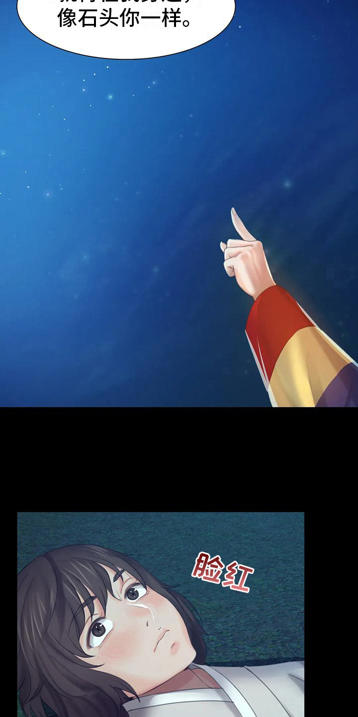 《忠仆石头》第18章星星 第11页