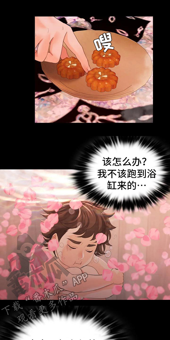 《忠仆石头》第15章灵机一动 第1页