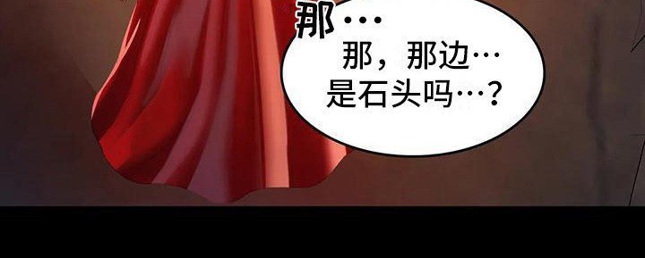 《忠仆石头》第7章寻找 第20页