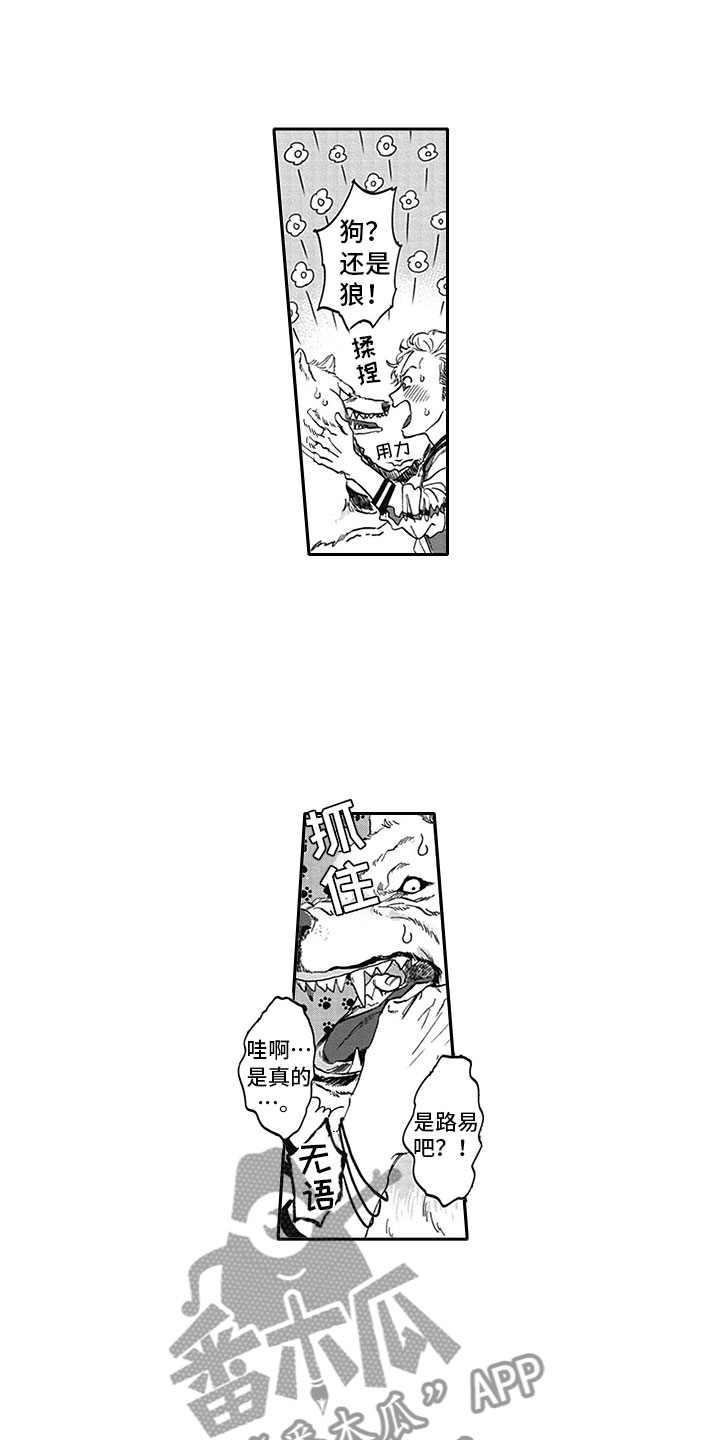 《吃掉吸血鬼》第6章真面目 第11页