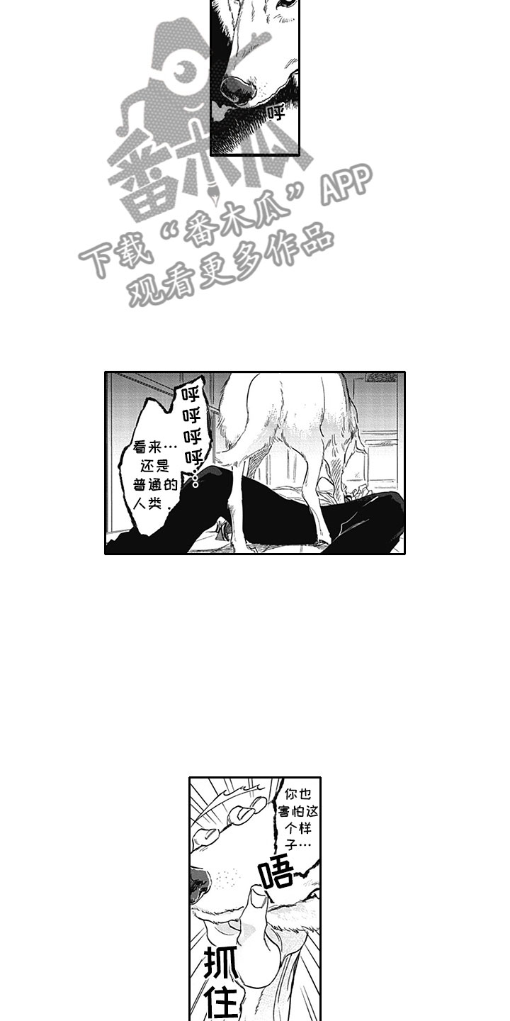 《吃掉吸血鬼》第6章真面目 第9页