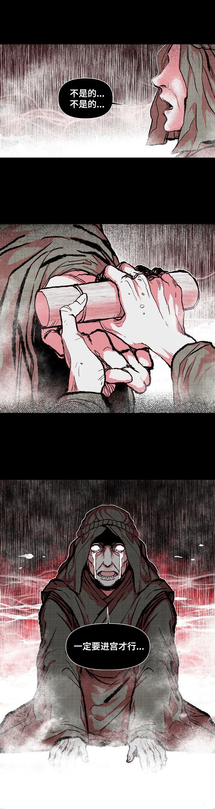 《燎火之声》第26章进宫理由 第10页