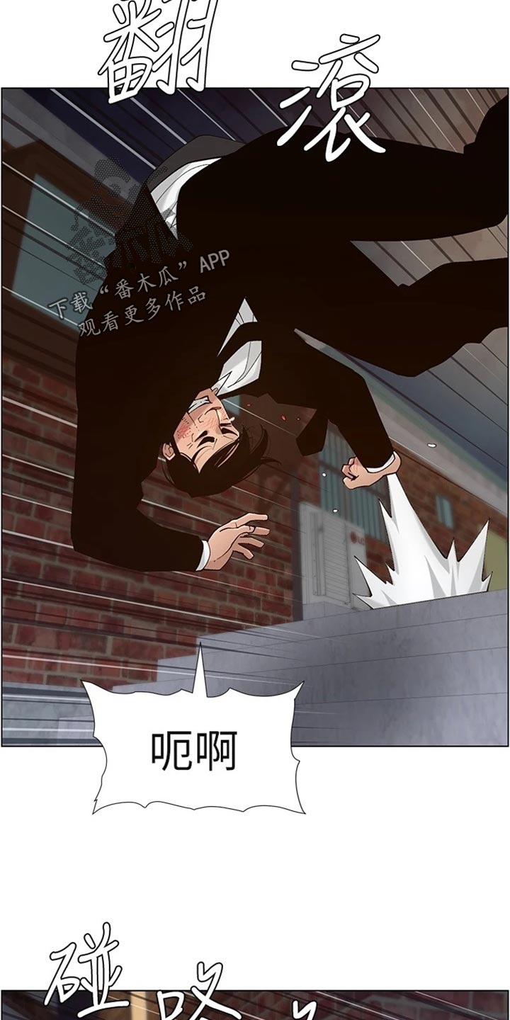 《假爸爸》第240章结婚【完结】 第12页