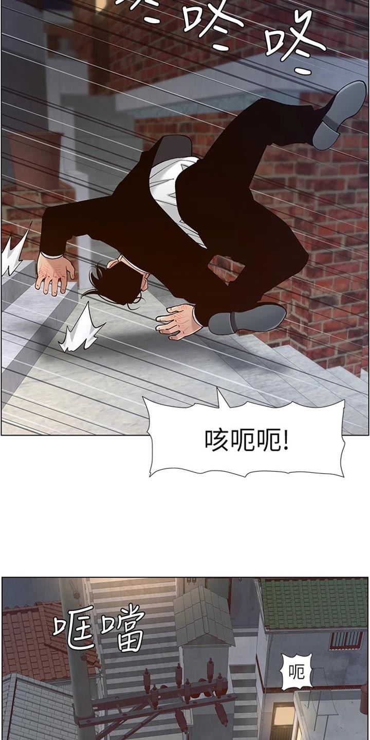 《假爸爸》第240章结婚【完结】 第13页