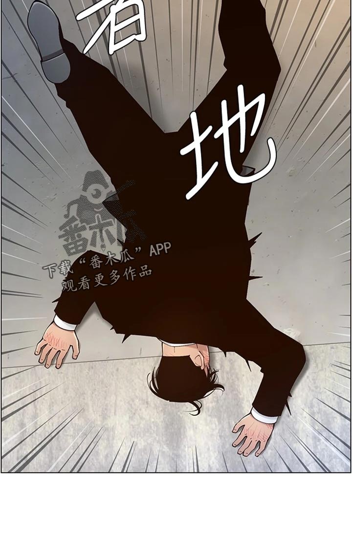 《假爸爸》第240章结婚【完结】 第15页