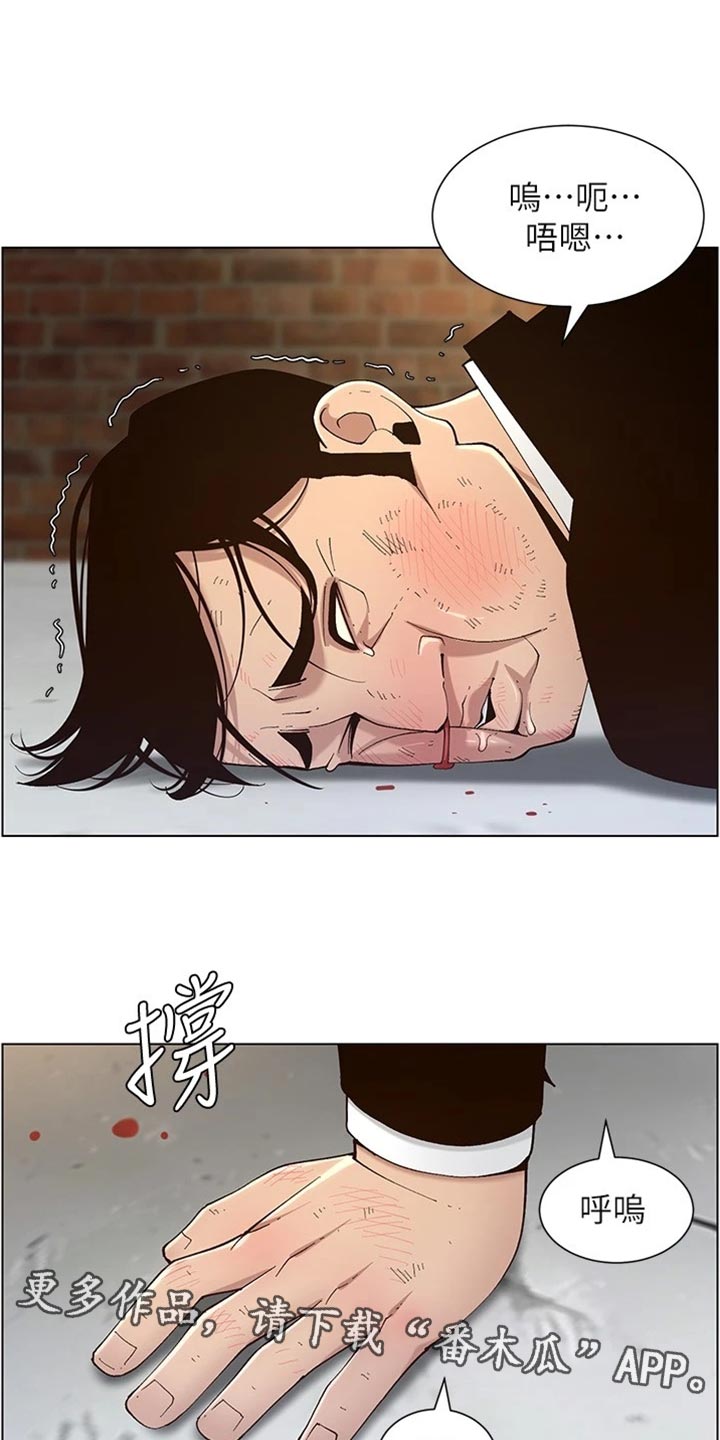 《假爸爸》第240章结婚【完结】 第16页