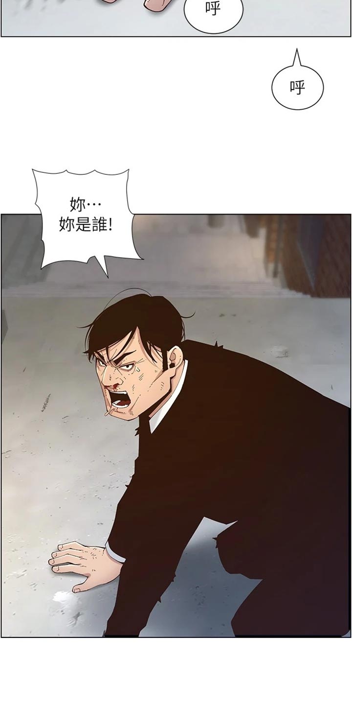 《假爸爸》第240章结婚【完结】 第17页