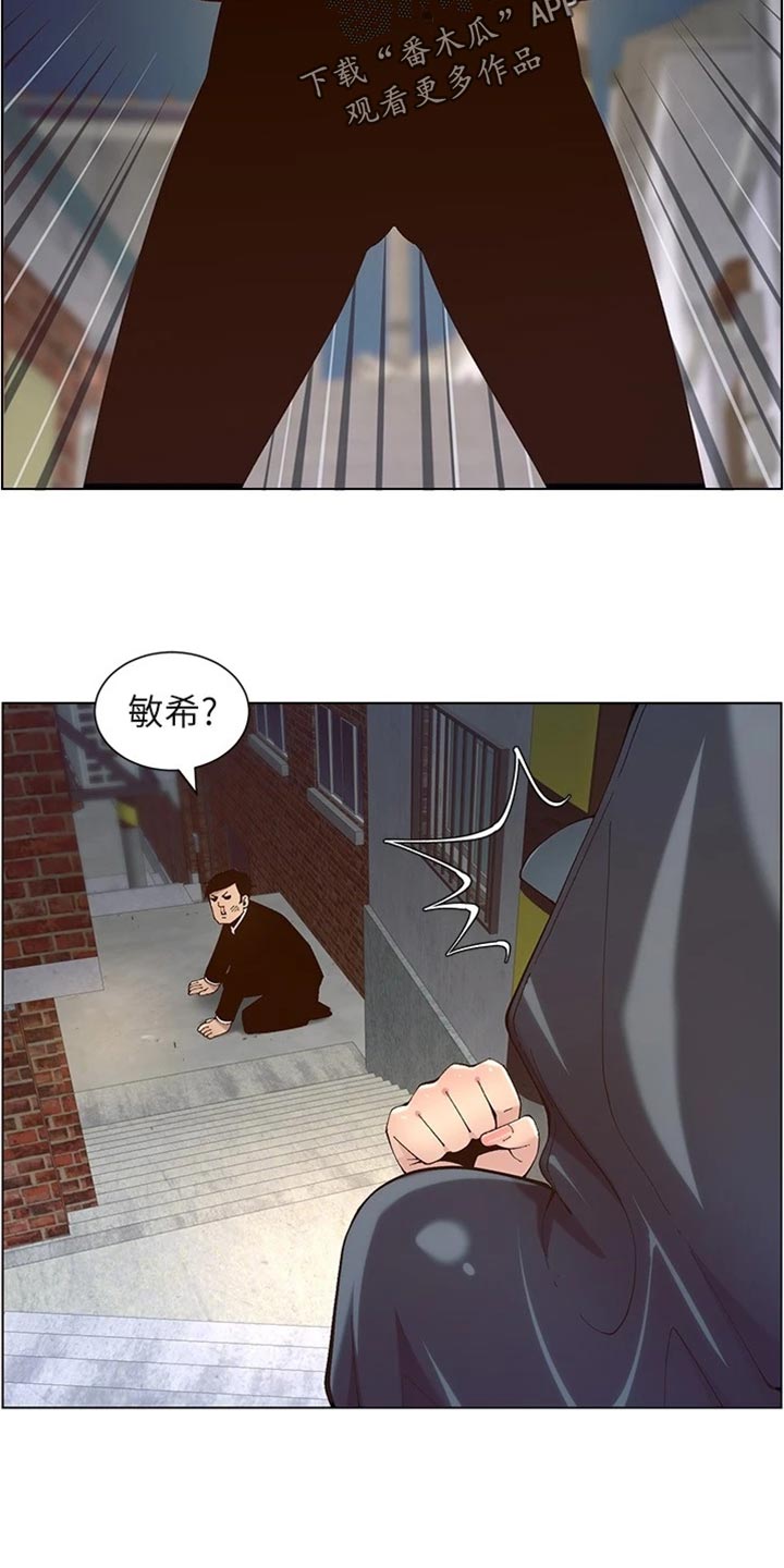 《假爸爸》第240章结婚【完结】 第21页