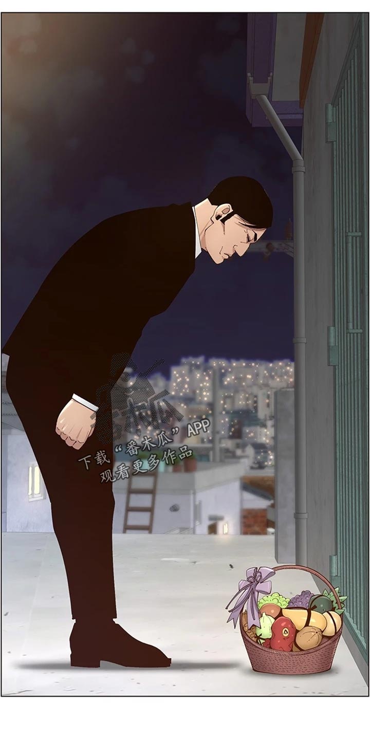 《假爸爸》第240章结婚【完结】 第4页
