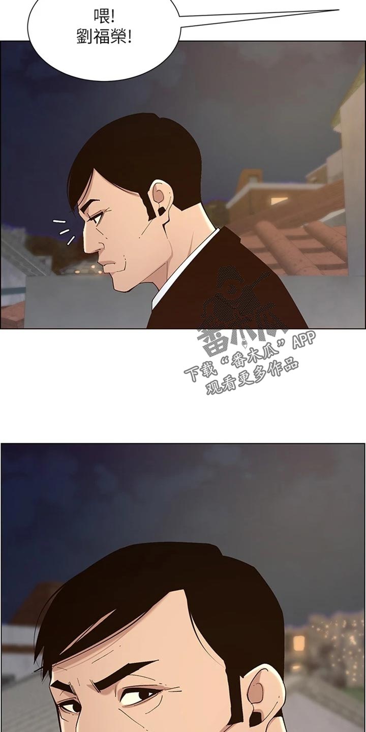 《假爸爸》第240章结婚【完结】 第7页