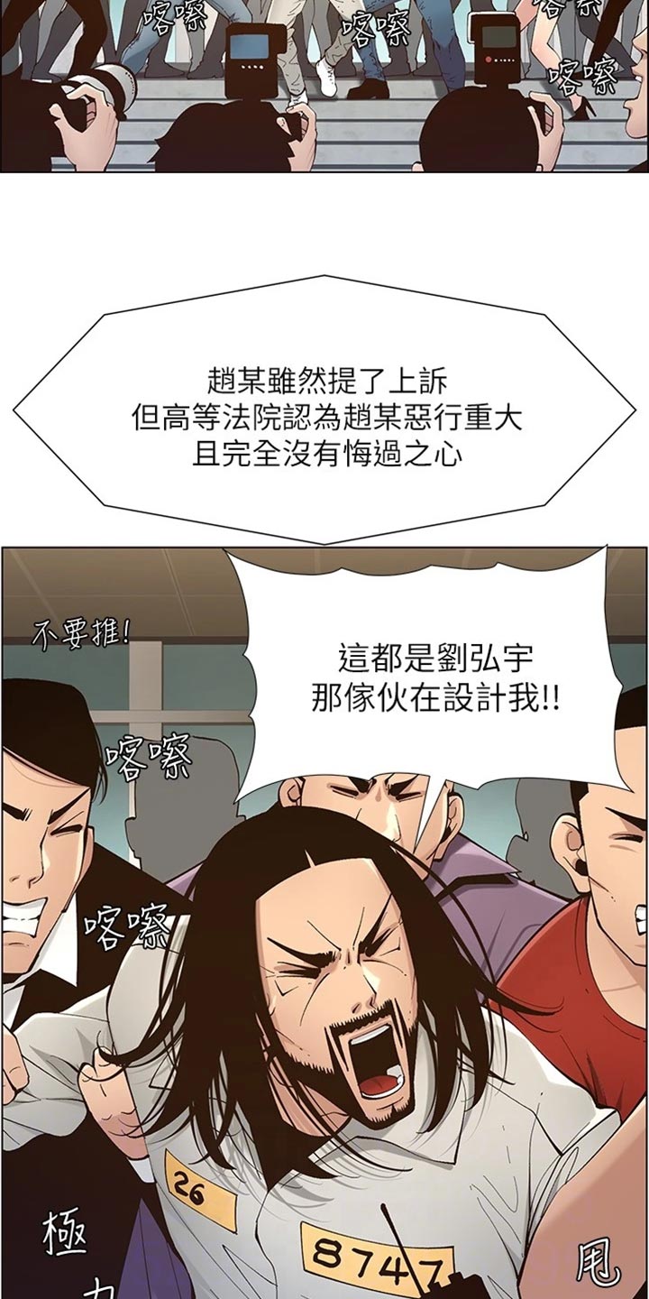 《假爸爸》第238章逮捕 第11页