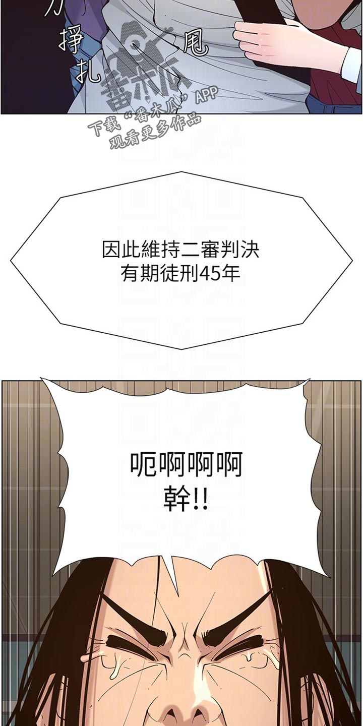 《假爸爸》第238章逮捕 第12页