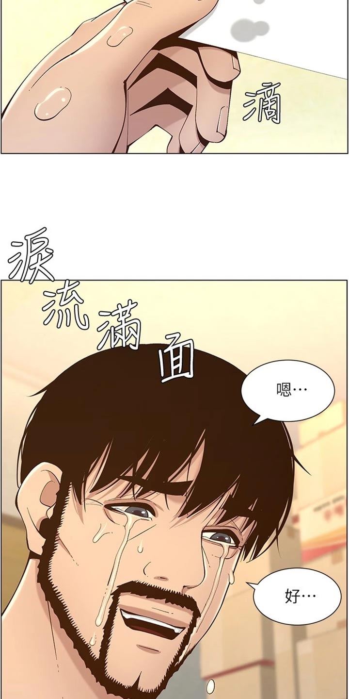 《假爸爸》第239章邀请函 第15页