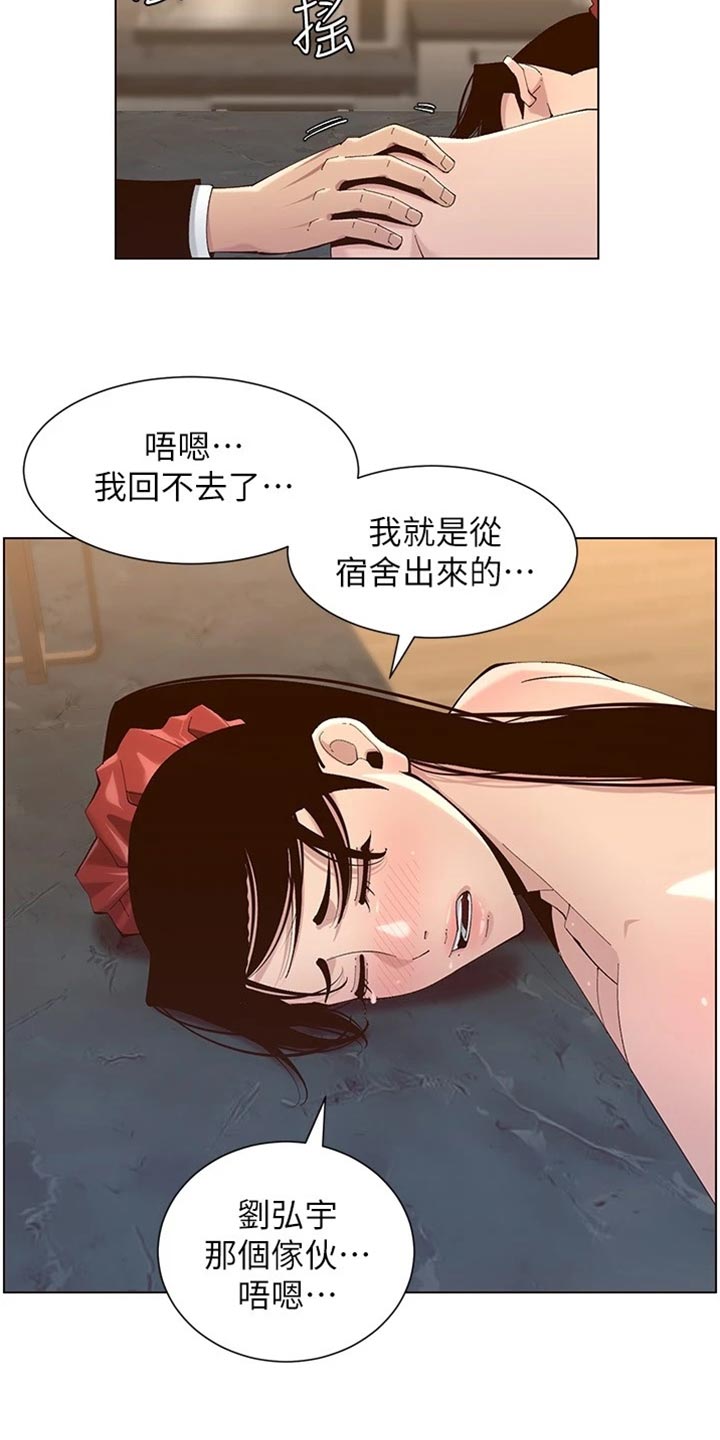 《假爸爸》第229章无家可归 第3页