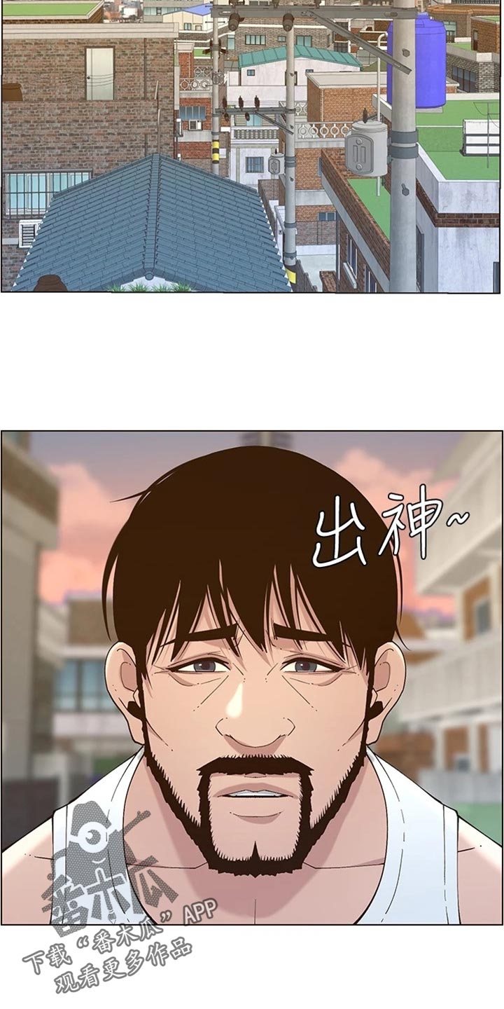 《假爸爸》第225章纠结 第12页