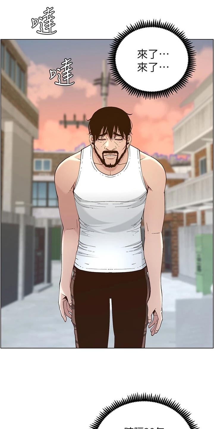 《假爸爸》第225章纠结 第13页
