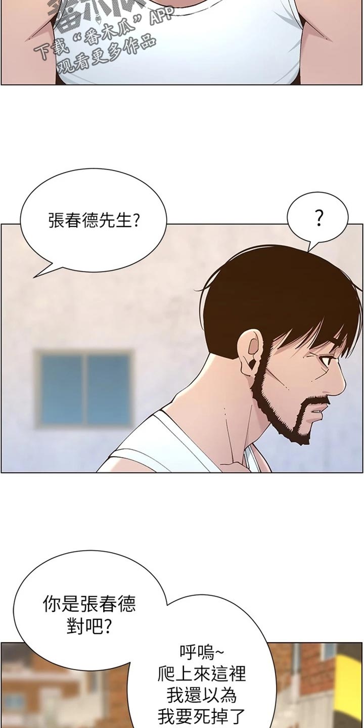 《假爸爸》第225章纠结 第22页