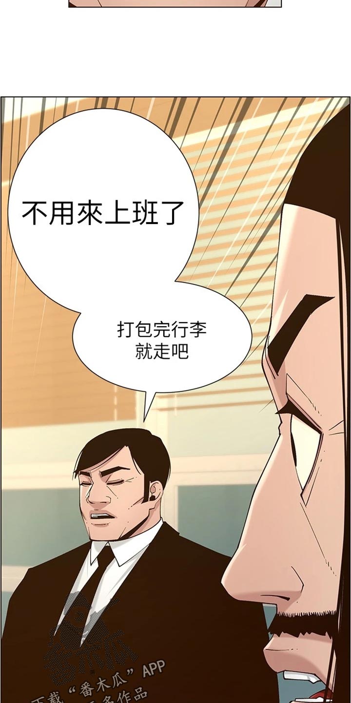 《假爸爸》第224章离奇的缘分 第22页