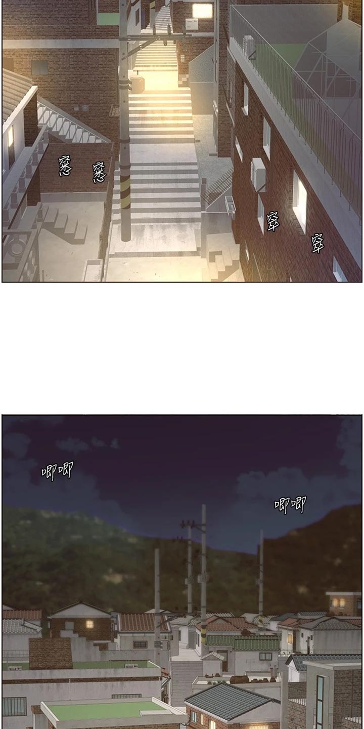 《假爸爸》第221章怒火中烧 第14页