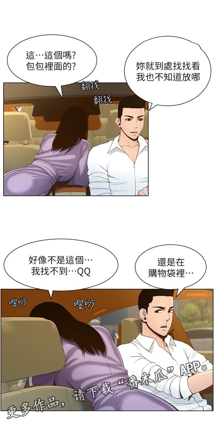 《假爸爸》第217章粗心大意 第1页